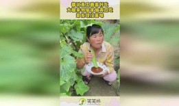 娱乐吃瓜酱家庭,揭秘娱乐圈背后的温馨故事