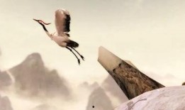 逍遥门服装爆料视频大全,揭秘时尚潮流背后的神秘爆料